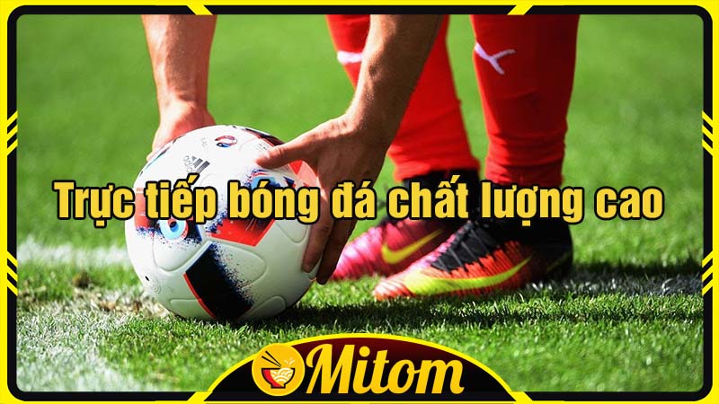 MitomTV trực tiếp bóng đá chất lượng cao