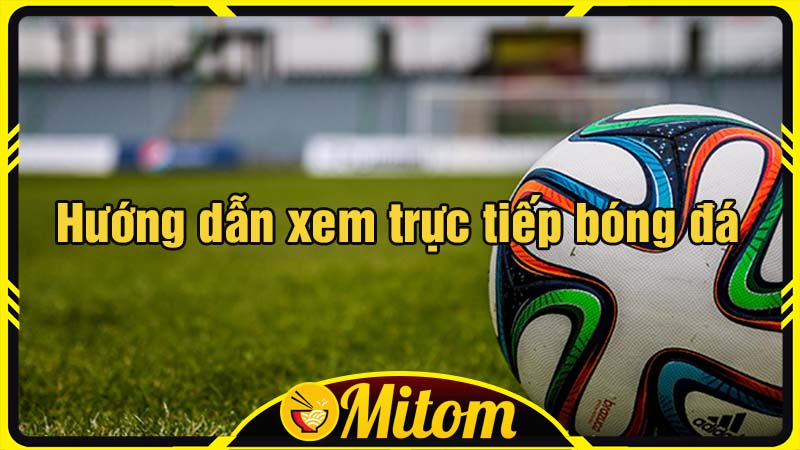 Hướng dẫn xem trực tiếp bóng đá tại Mì Tôm TV