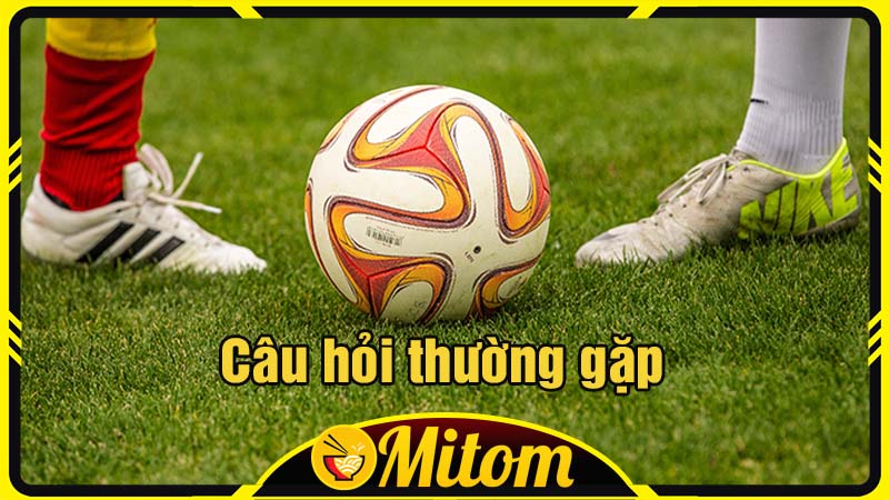 Câu hỏi thường gặp của khán giả trực tiếp bóng đá Mitom TV